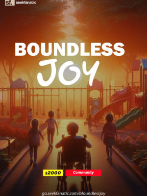 Boundless Joy: Playgrounds